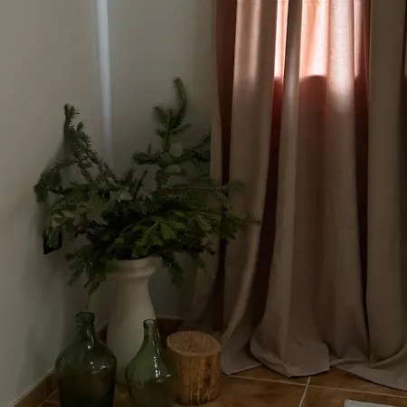 Terra Boutique Πανσιόν *